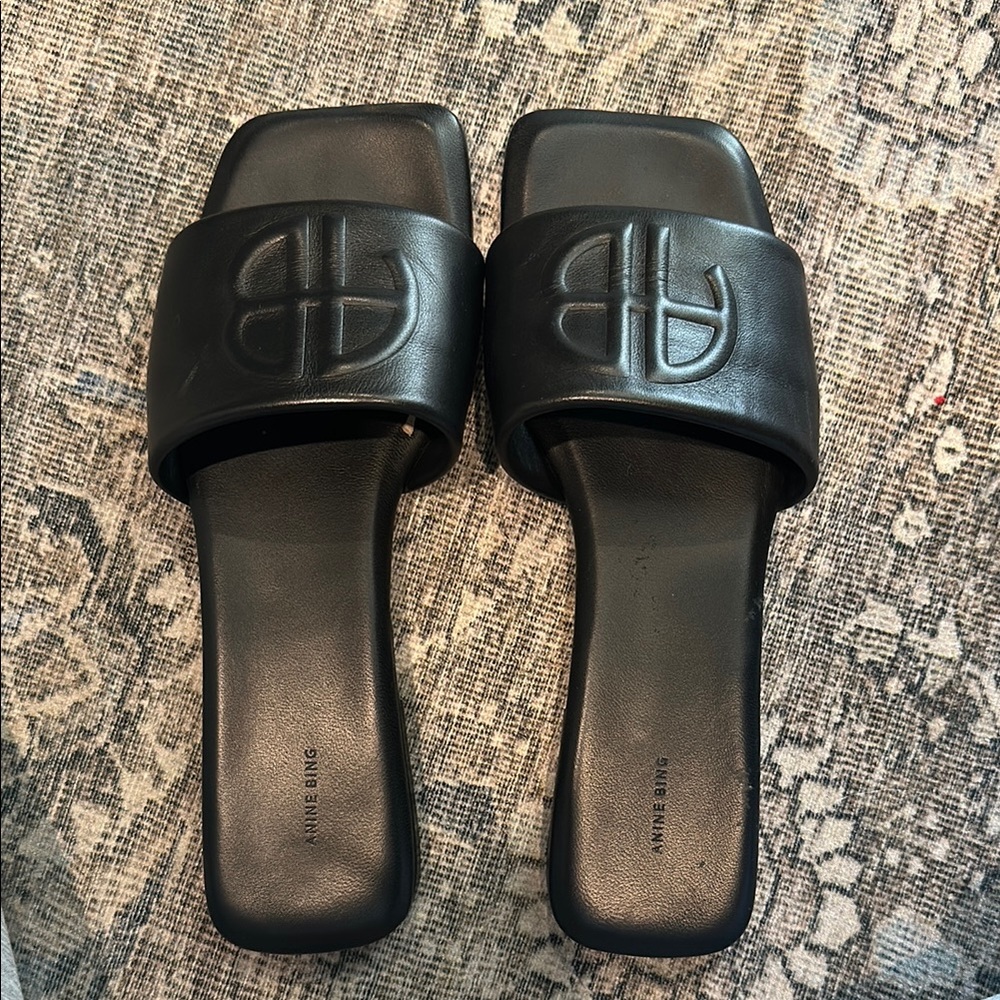 Anine Bing Black Minimalist Sandals